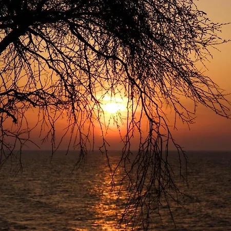 فندق مبيت وإفطار Florek