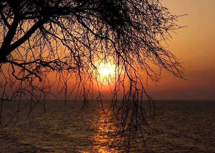 Bed & Breakfast Florek